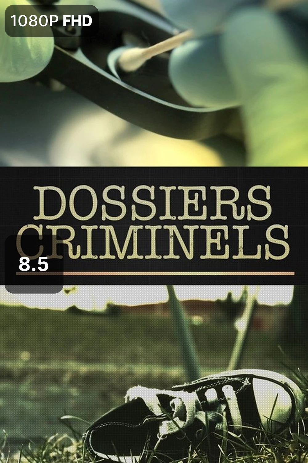 Dossiers Criminels