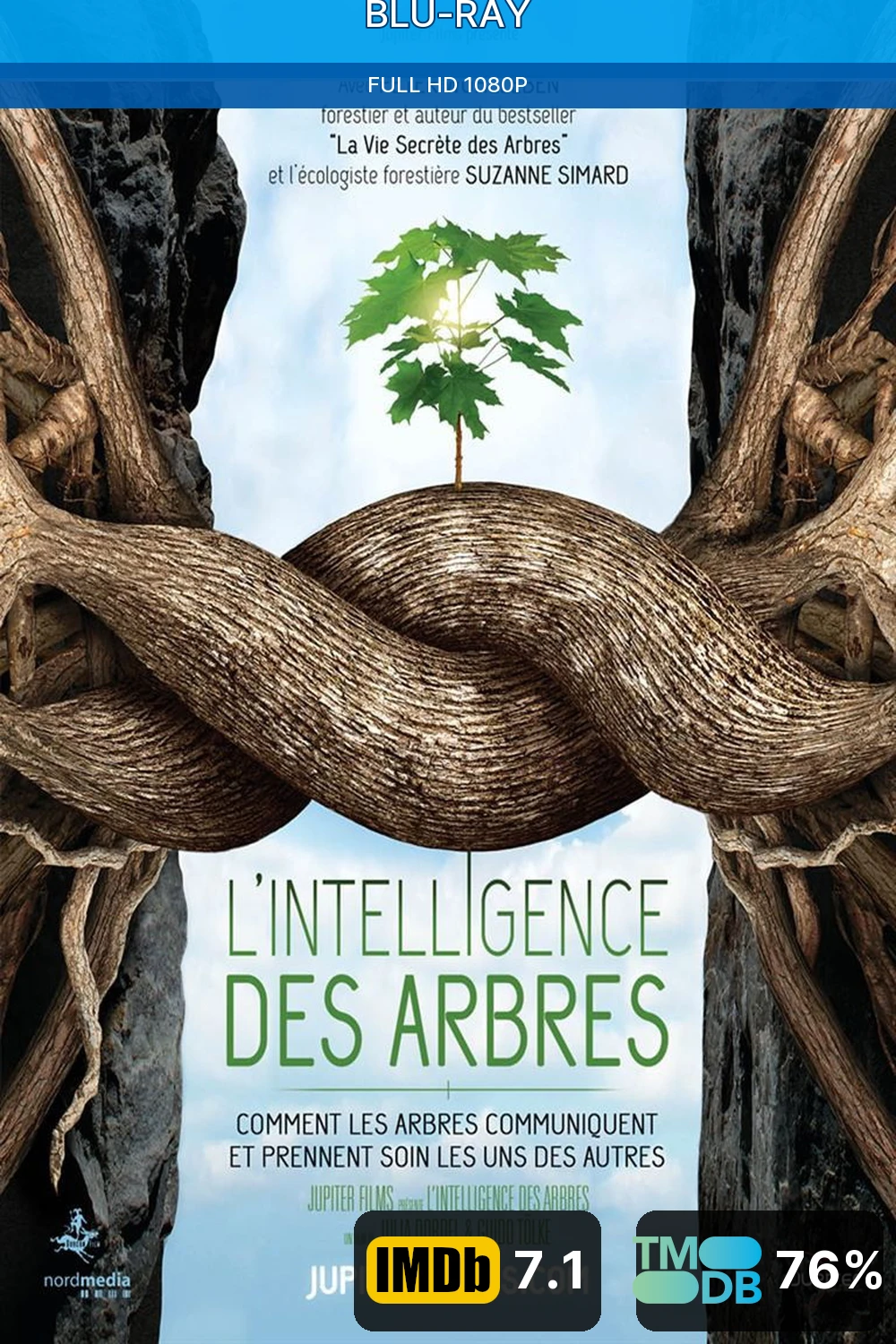 L'intelligence des Arbres