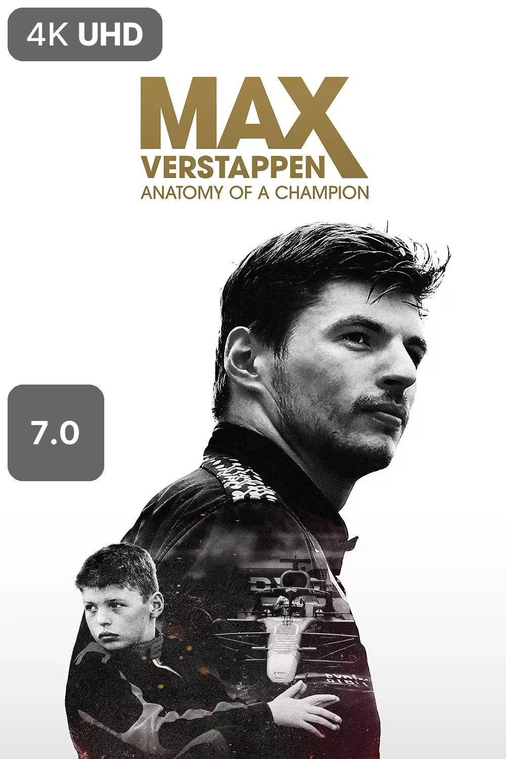 Max Verstappen : anatomie d'un champion