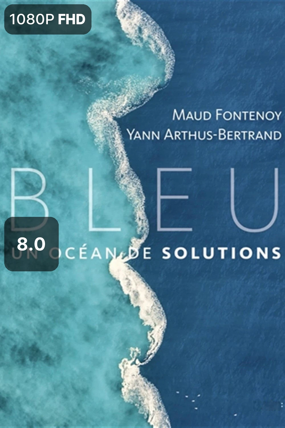 Bleu, un océan de solutions