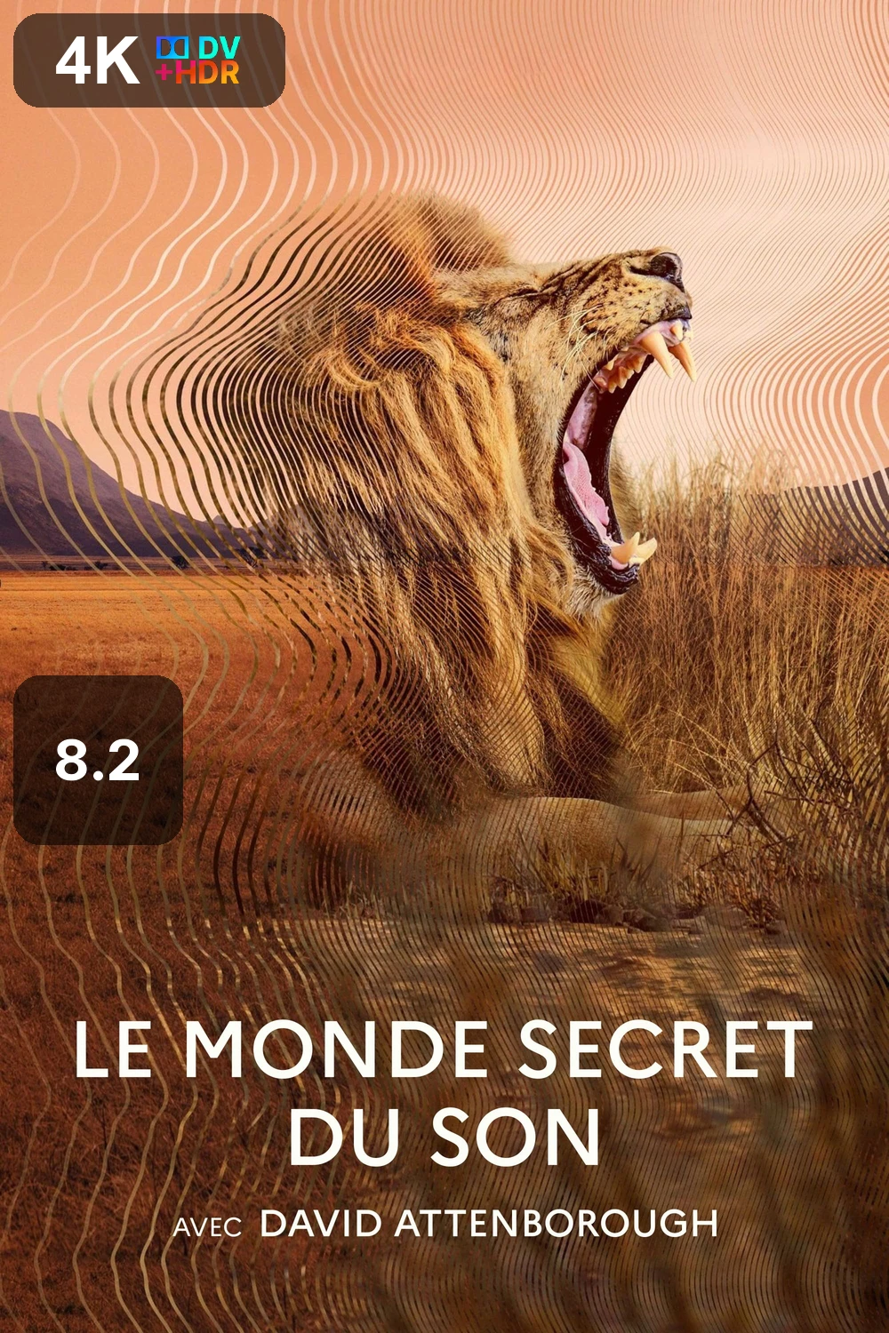 Le Monde secret du son avec David Attenborough